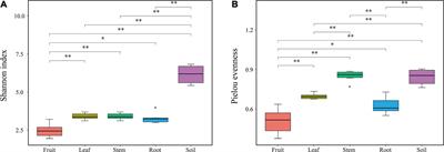 The Macleaya cordata Symbiont: Revealing the Effects of Plant Niches and Alkaloids on the Bacterial Community